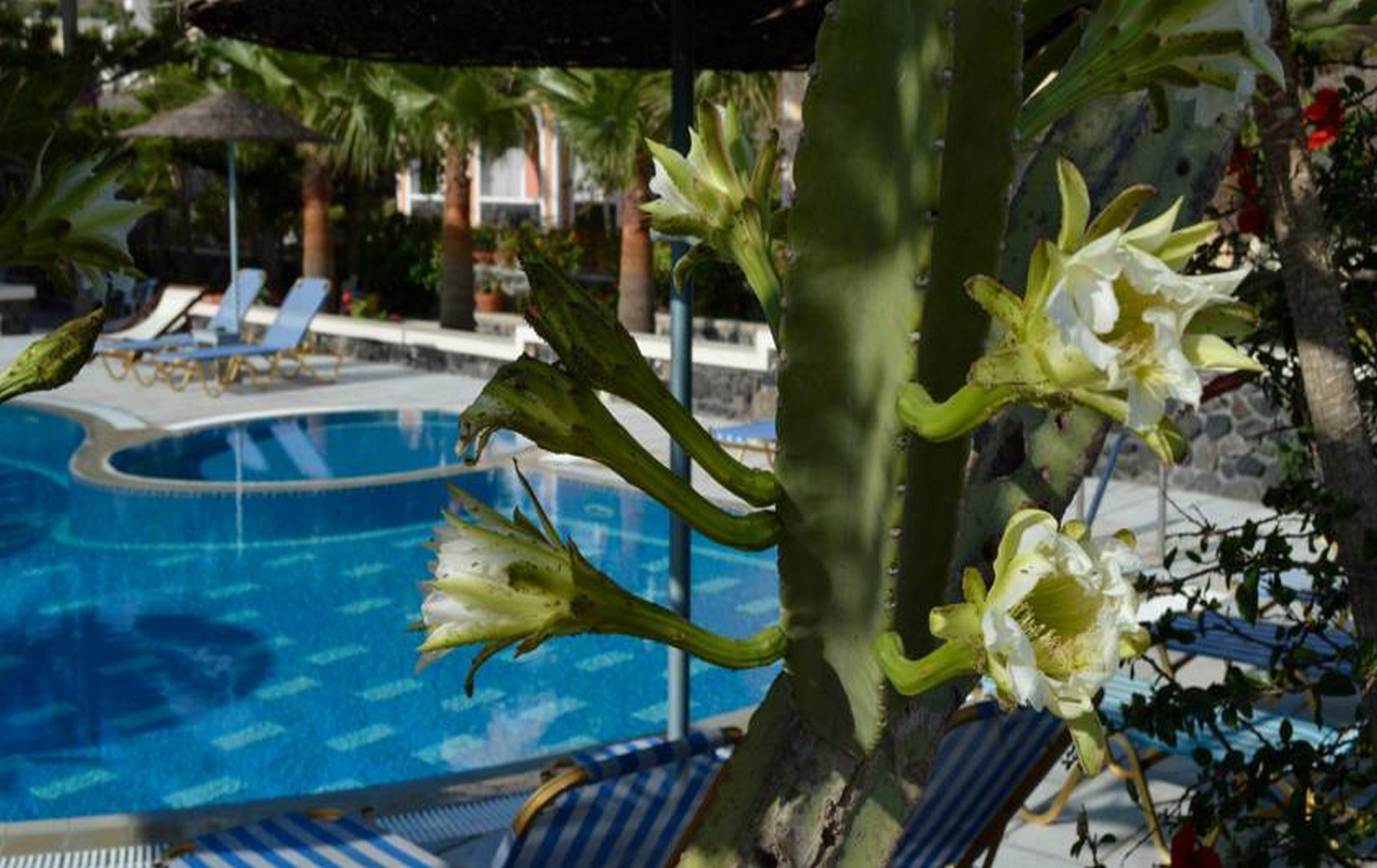 Castro Hotel Kamári Екстериор снимка