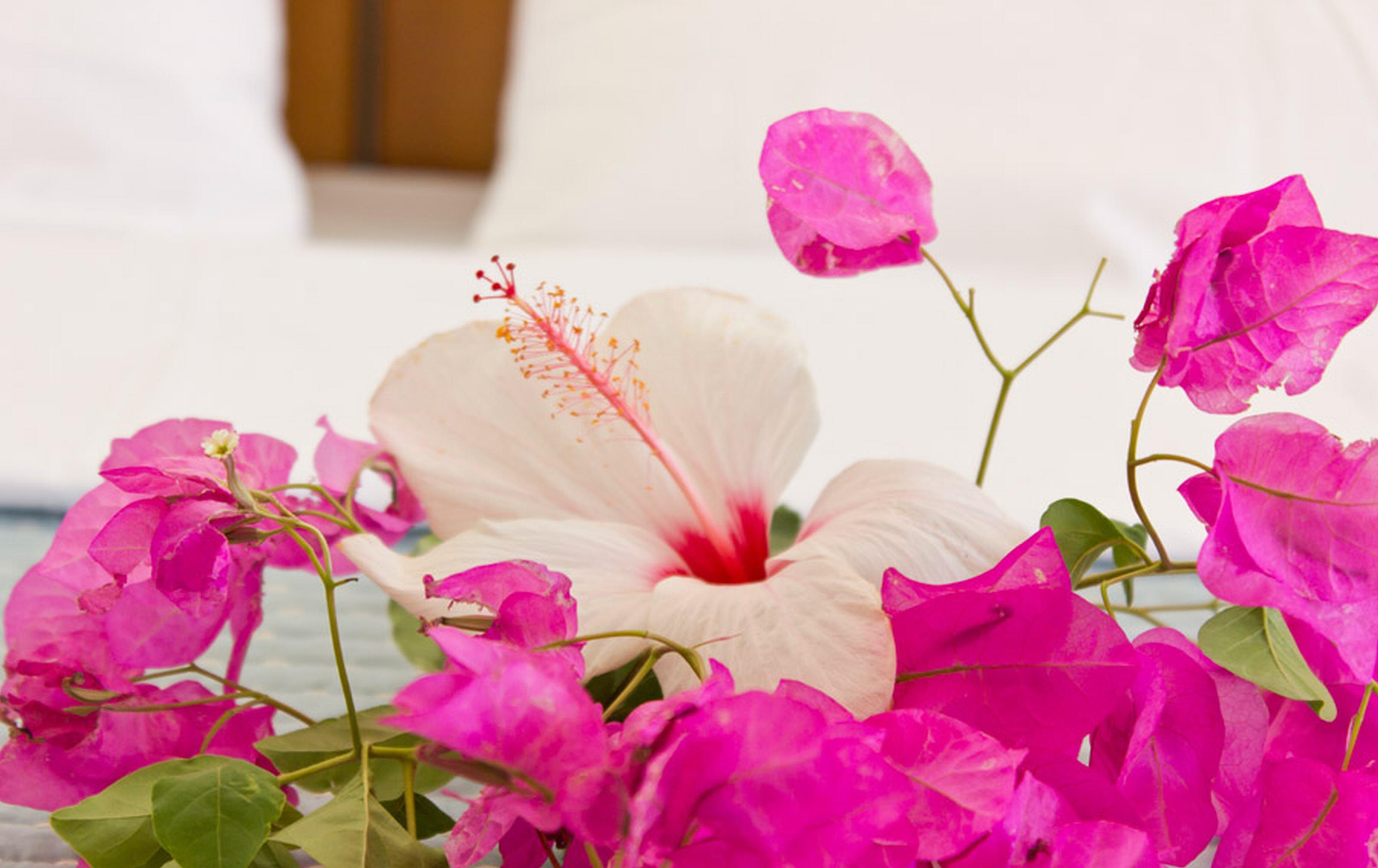 Castro Hotel Kamári Екстериор снимка
